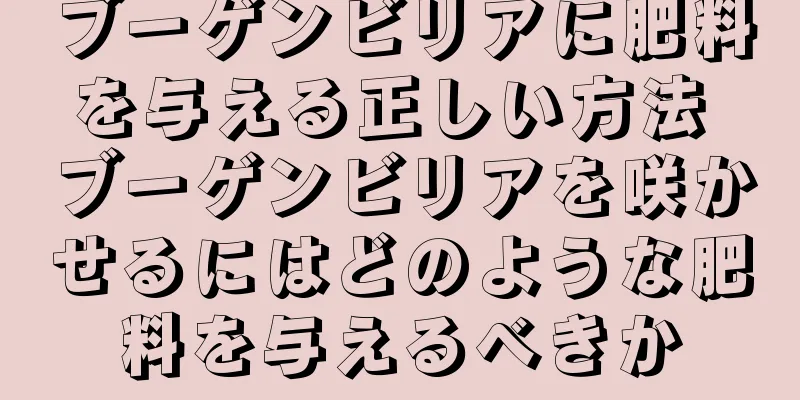 ブーゲンビリアに肥料を与える正しい方法 ブーゲンビリアを咲かせるにはどのような肥料を与えるべきか
