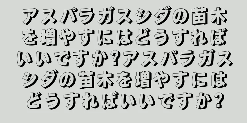 アスパラガスシダの苗木を増やすにはどうすればいいですか?アスパラガスシダの苗木を増やすにはどうすればいいですか?