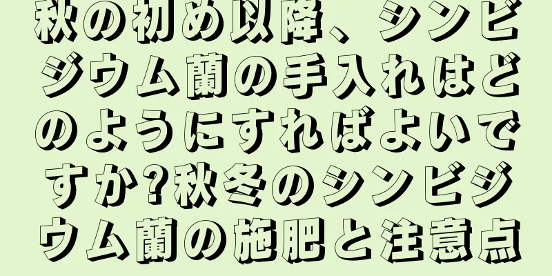 秋の初め以降、シンビジウム蘭の手入れはどのようにすればよいですか?秋冬のシンビジウム蘭の施肥と注意点