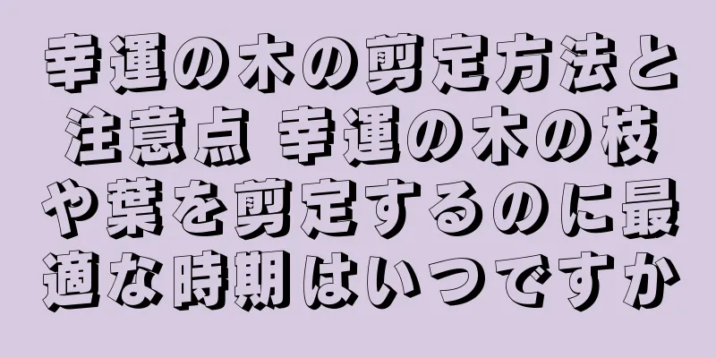 幸運の木の剪定方法と注意点 幸運の木の枝や葉を剪定するのに最適な時期はいつですか