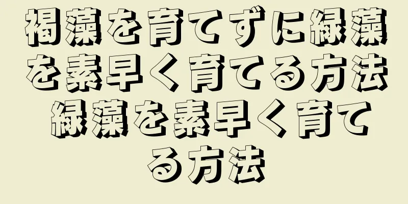 褐藻を育てずに緑藻を素早く育てる方法 緑藻を素早く育てる方法
