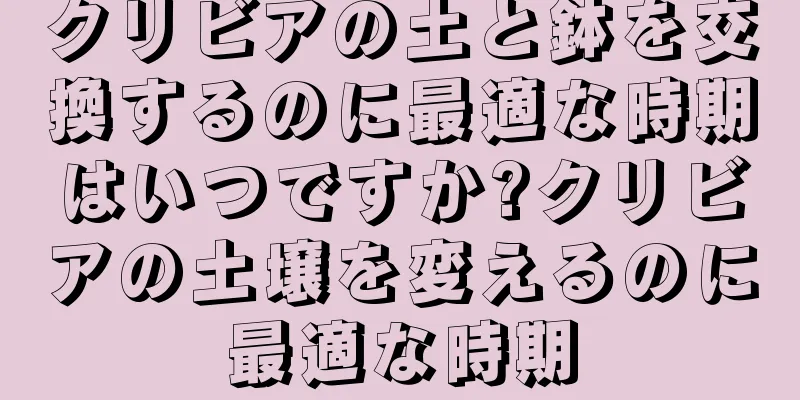 クリビアの土と鉢を交換するのに最適な時期はいつですか?クリビアの土壌を変えるのに最適な時期