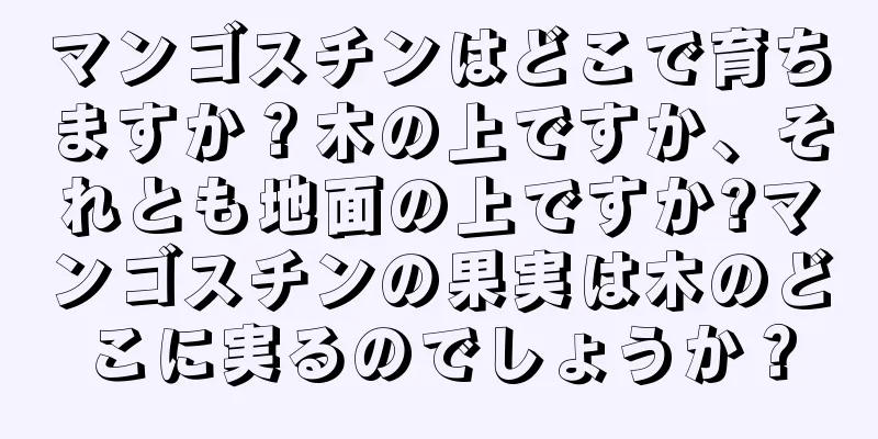 マンゴスチンはどこで育ちますか？木の上ですか、それとも地面の上ですか?マンゴスチンの果実は木のどこに実るのでしょうか？