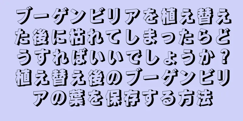 ブーゲンビリアを植え替えた後に枯れてしまったらどうすればいいでしょうか？植え替え後のブーゲンビリアの葉を保存する方法