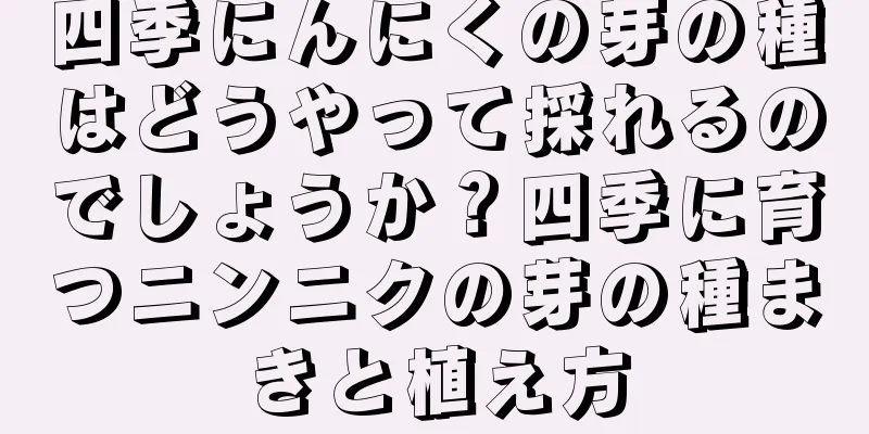 四季にんにくの芽の種はどうやって採れるのでしょうか？四季に育つニンニクの芽の種まきと植え方