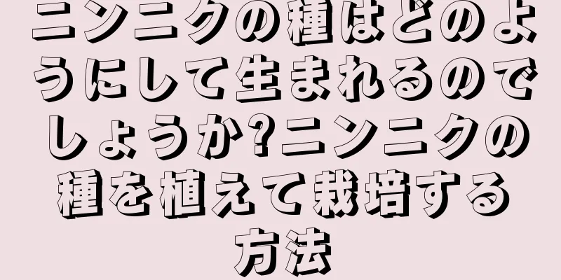ニンニクの種はどのようにして生まれるのでしょうか?ニンニクの種を植えて栽培する方法