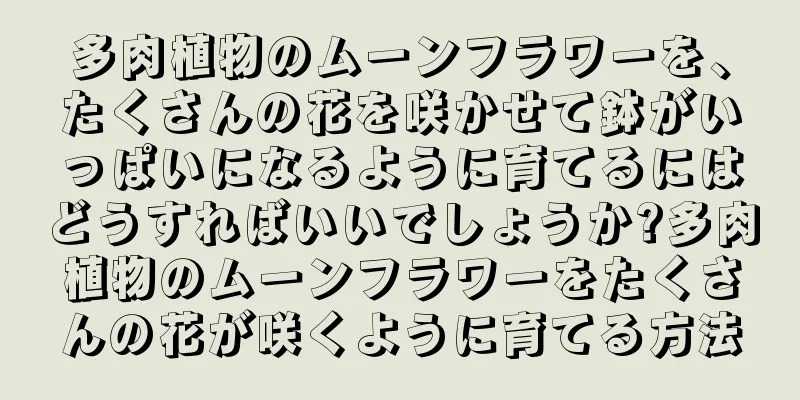 多肉植物のムーンフラワーを、たくさんの花を咲かせて鉢がいっぱいになるように育てるにはどうすればいいでしょうか?多肉植物のムーンフラワーをたくさんの花が咲くように育てる方法