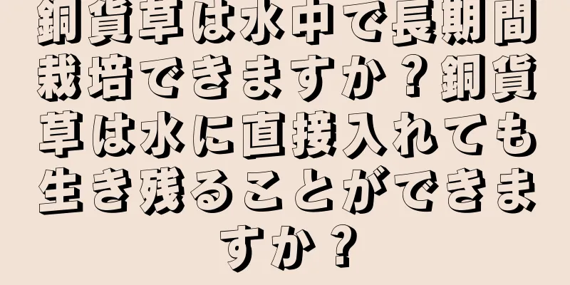 銅貨草は水中で長期間栽培できますか？銅貨草は水に直接入れても生き残ることができますか？