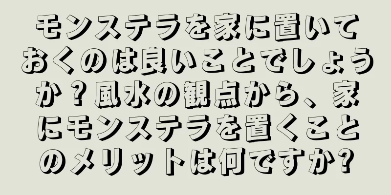 モンステラを家に置いておくのは良いことでしょうか？風水の観点から、家にモンステラを置くことのメリットは何ですか?