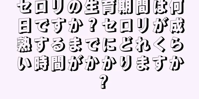セロリの生育期間は何日ですか？セロリが成熟するまでにどれくらい時間がかかりますか？