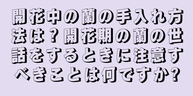 開花中の蘭の手入れ方法は？開花期の蘭の世話をするときに注意すべきことは何ですか?