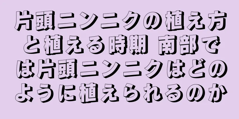 片頭ニンニクの植え方と植える時期 南部では片頭ニンニクはどのように植えられるのか