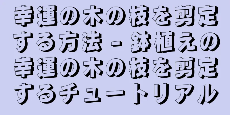 幸運の木の枝を剪定する方法 - 鉢植えの幸運の木の枝を剪定するチュートリアル