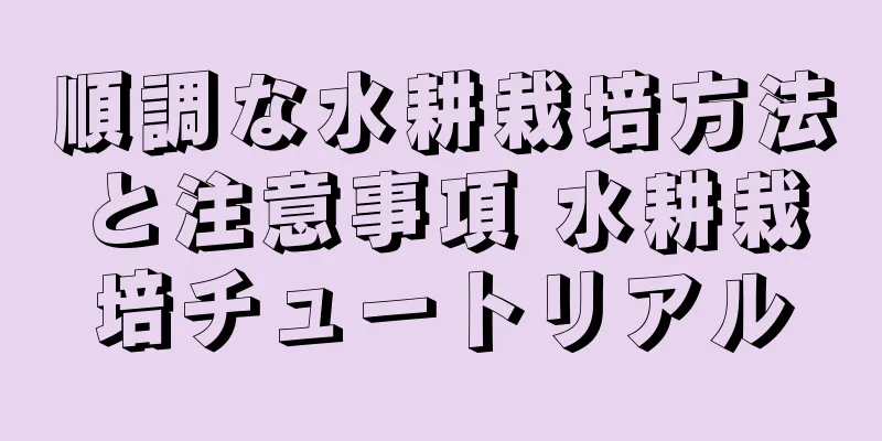 順調な水耕栽培方法と注意事項 水耕栽培チュートリアル