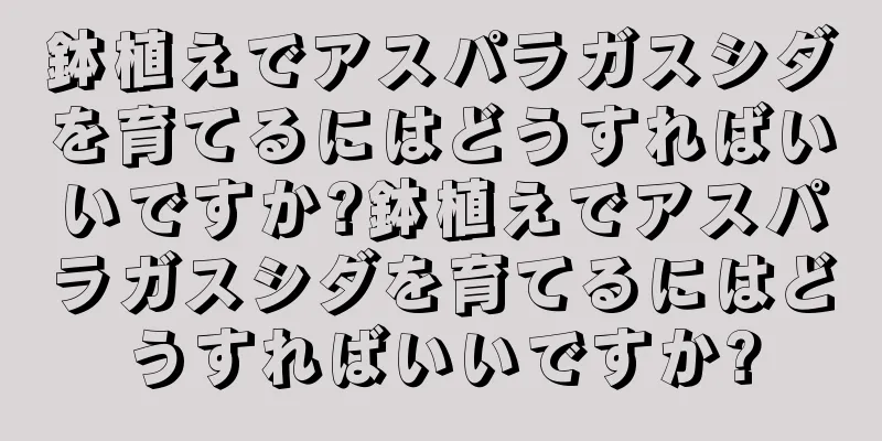 鉢植えでアスパラガスシダを育てるにはどうすればいいですか?鉢植えでアスパラガスシダを育てるにはどうすればいいですか?