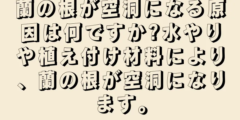 蘭の根が空洞になる原因は何ですか?水やりや植え付け材料により、蘭の根が空洞になります。