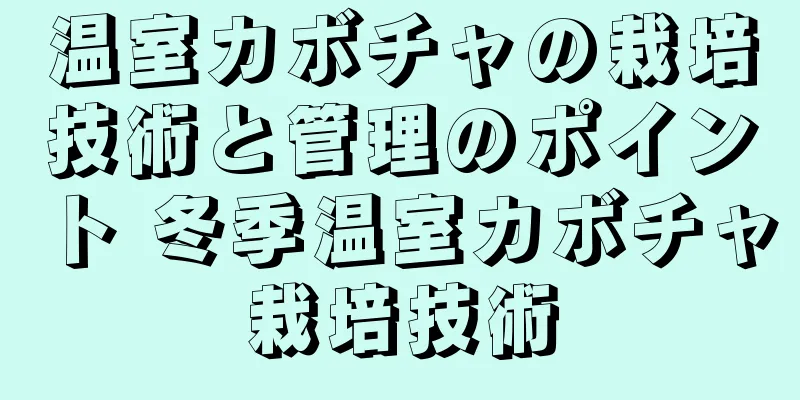 温室カボチャの栽培技術と管理のポイント 冬季温室カボチャ栽培技術