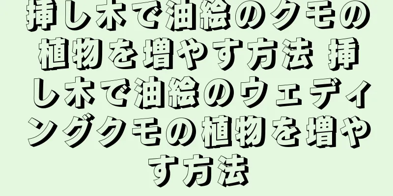 挿し木で油絵のクモの植物を増やす方法 挿し木で油絵のウェディングクモの植物を増やす方法
