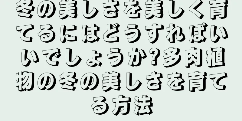 冬の美しさを美しく育てるにはどうすればいいでしょうか?多肉植物の冬の美しさを育てる方法