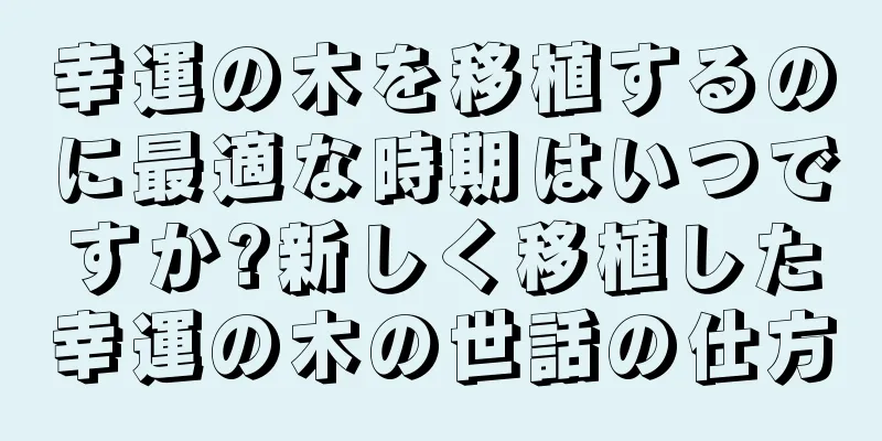 幸運の木を移植するのに最適な時期はいつですか?新しく移植した幸運の木の世話の仕方