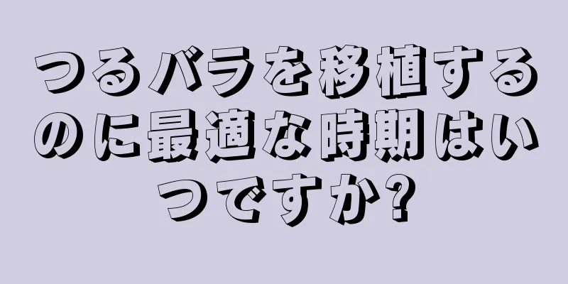 つるバラを移植するのに最適な時期はいつですか?