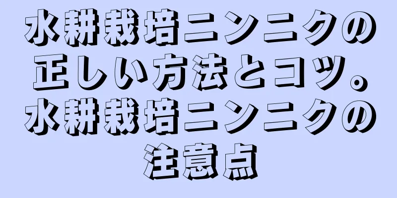 水耕栽培ニンニクの正しい方法とコツ。水耕栽培ニンニクの注意点