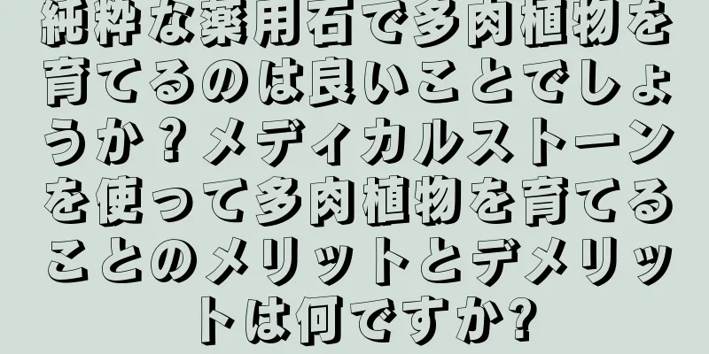 純粋な薬用石で多肉植物を育てるのは良いことでしょうか？メディカルストーンを使って多肉植物を育てることのメリットとデメリットは何ですか?