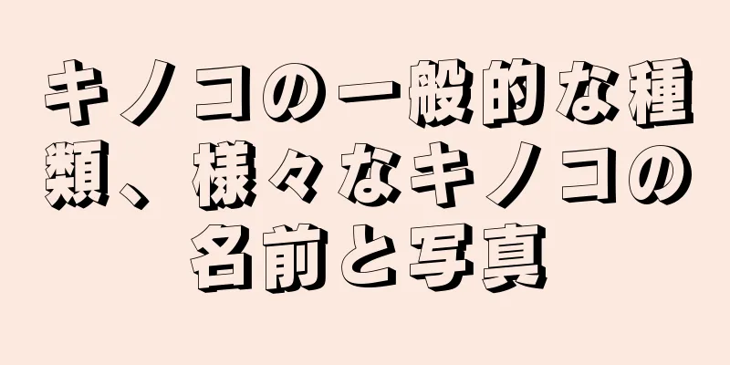 キノコの一般的な種類、様々なキノコの名前と写真