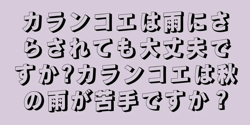 カランコエは雨にさらされても大丈夫ですか?カランコエは秋の雨が苦手ですか？
