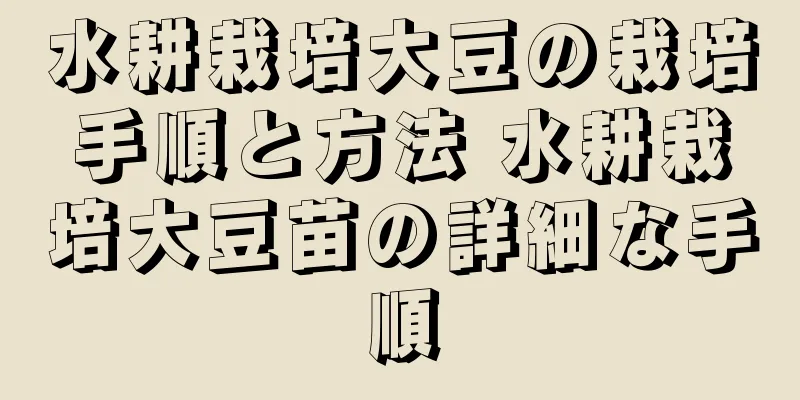 水耕栽培大豆の栽培手順と方法 水耕栽培大豆苗の詳細な手順