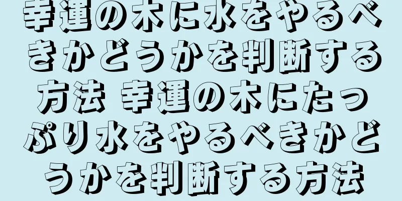 幸運の木に水をやるべきかどうかを判断する方法 幸運の木にたっぷり水をやるべきかどうかを判断する方法