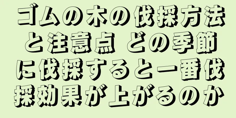 ゴムの木の伐採方法と注意点 どの季節に伐採すると一番伐採効果が上がるのか