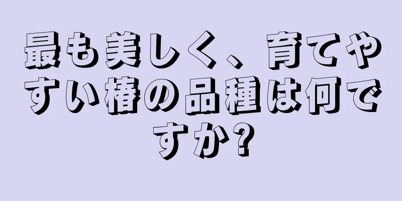 最も美しく、育てやすい椿の品種は何ですか?