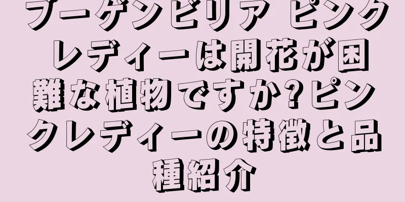 ブーゲンビリア ピンク レディーは開花が困難な植物ですか?ピンクレディーの特徴と品種紹介