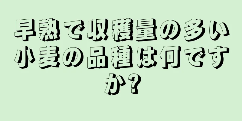 早熟で収穫量の多い小麦の品種は何ですか?