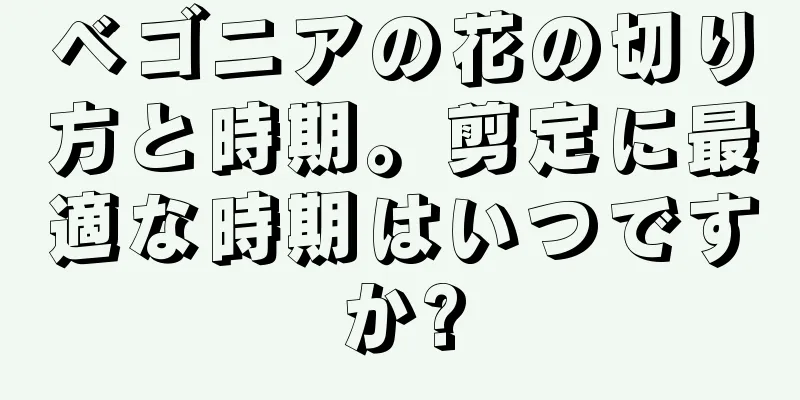 ベゴニアの花の切り方と時期。剪定に最適な時期はいつですか?