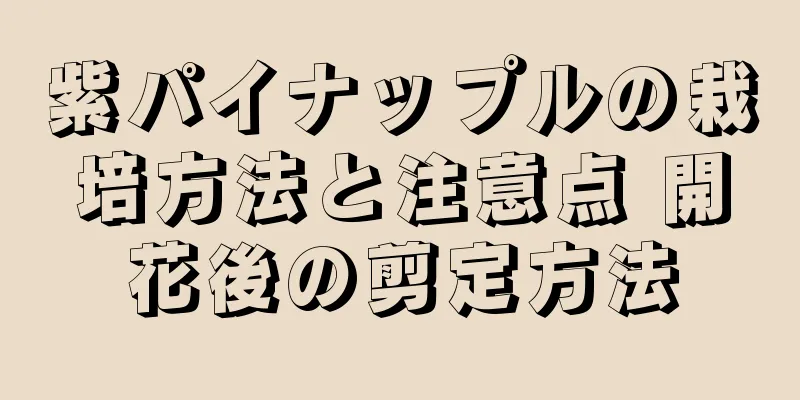 紫パイナップルの栽培方法と注意点 開花後の剪定方法