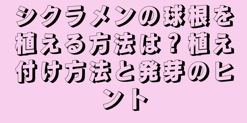シクラメンの球根を植える方法は？植え付け方法と発芽のヒント