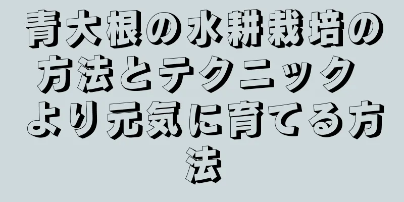青大根の水耕栽培の方法とテクニック より元気に育てる方法