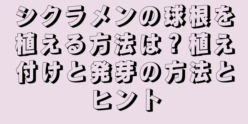 シクラメンの球根を植える方法は？植え付けと発芽の方法とヒント