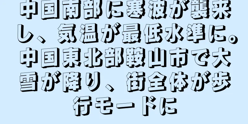 中国南部に寒波が襲来し、気温が最低水準に。中国東北部鞍山市で大雪が降り、街全体が歩行モードに