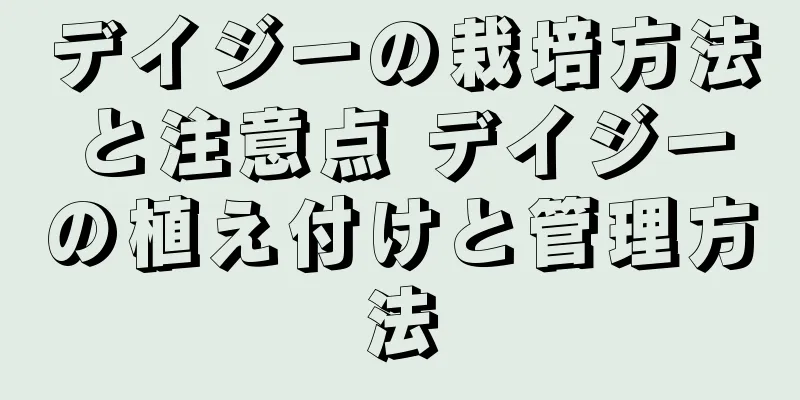 デイジーの栽培方法と注意点 デイジーの植え付けと管理方法