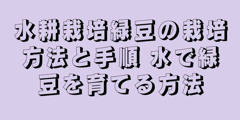 水耕栽培緑豆の栽培方法と手順 水で緑豆を育てる方法
