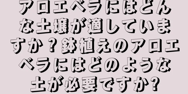 アロエベラにはどんな土壌が適していますか？鉢植えのアロエベラにはどのような土が必要ですか?