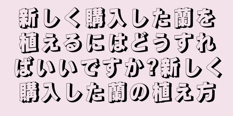 新しく購入した蘭を植えるにはどうすればいいですか?新しく購入した蘭の植え方