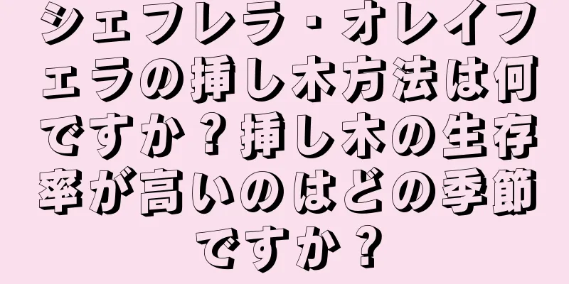 シェフレラ・オレイフェラの挿し木方法は何ですか？挿し木の生存率が高いのはどの季節ですか？