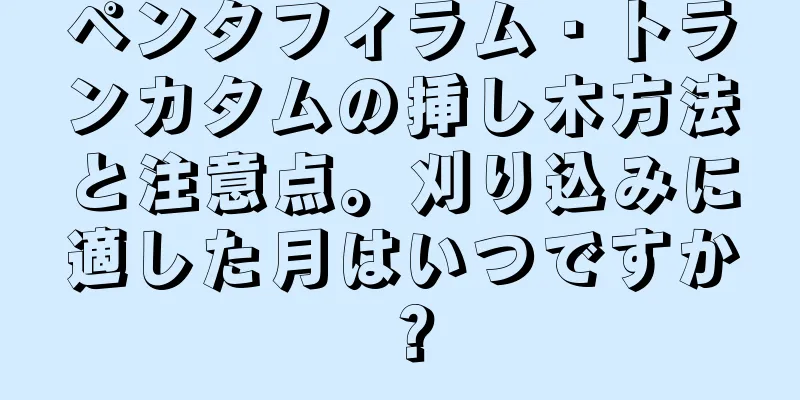 ペンタフィラム・トランカタムの挿し木方法と注意点。刈り込みに適した月はいつですか？