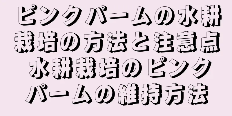 ピンクパームの水耕栽培の方法と注意点 水耕栽培のピンクパームの維持方法