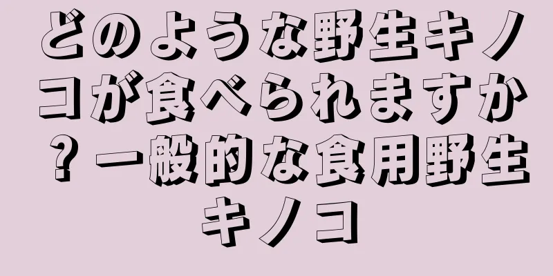 どのような野生キノコが食べられますか？一般的な食用野生キノコ