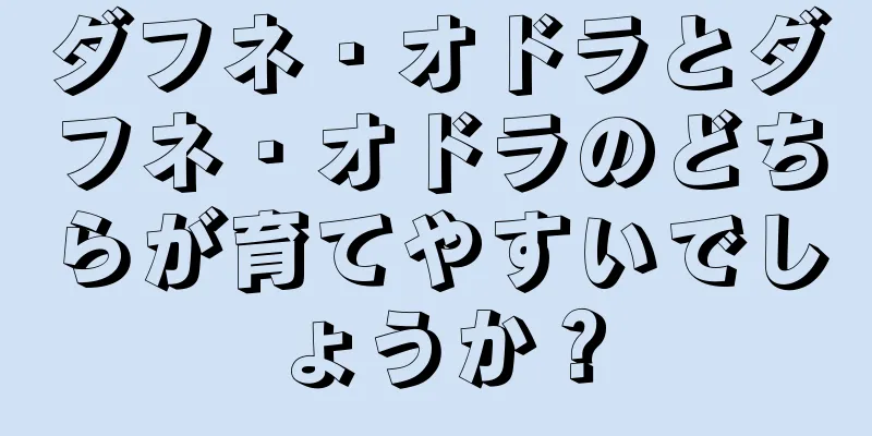 ダフネ・オドラとダフネ・オドラのどちらが育てやすいでしょうか？